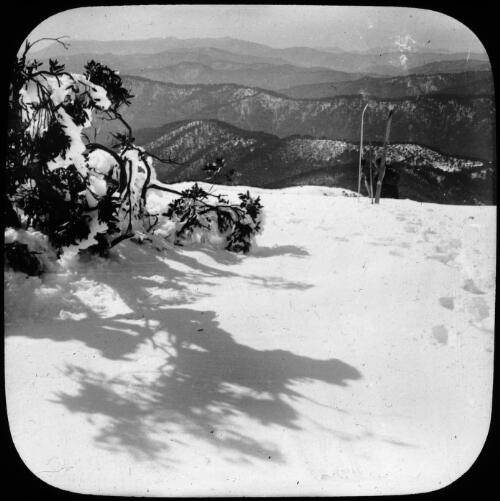 Footprints leading to and from skis standing in the snow, Victoria, approximately 1920 / Robert Wilkinson