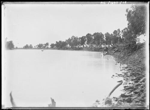 South Newcastle Waters near Newcastle Waters Station, Northern Territory, 1911 [picture]