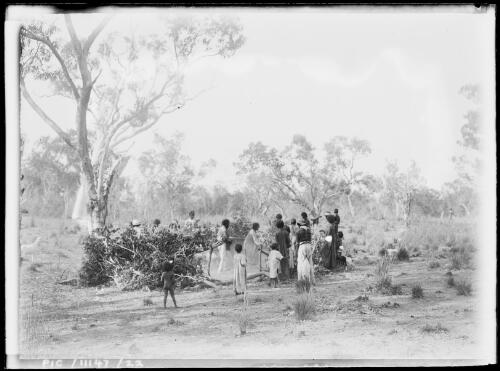 Aboriginal Australians at a goat pen, near Borroloola, Northern Territory, 1911 [picture]