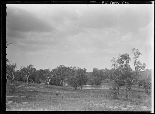 Lagoon near Borroloola, Northern Territory, 1911 [picture]