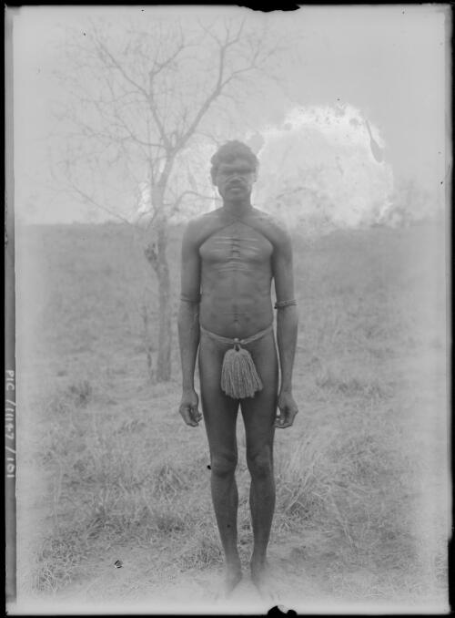 Portrait of an Aboriginal man with body scarification, wearing a loincloth and armbands, Limmen Bight River region, Gulf of Carpentaria, Northern Territory, 1911 [picture]