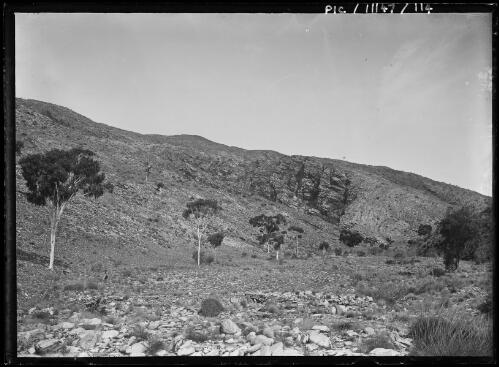 Near Haasts Bluff, MacDonnell Ranges, Central Australia, Northern Territory, 1911, [2] [picture]