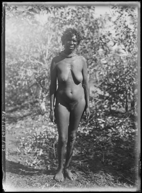 Portrait of an Aboriginal woman with body scarification on her upper body, Krichauff Ranges region in the MacDonnell Ranges, Central Australia, Northern Territory, 1911 [picture]