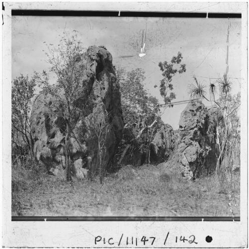 Photograph of a photograph of termite mounds, Northern Territory, ca. 1911 [picture]