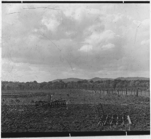 Copy of the farm country looking east, Northern Territory, 1912 [picture] / J.P. Campbell