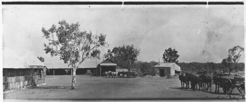 Photograph of a photograph of farm buildings, Northern Territory, ca. 1912, [1] [picture]