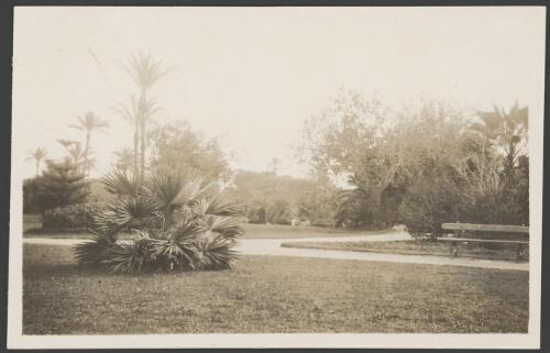 Gardens in Cairo, Egypt, approximately 1914, 2