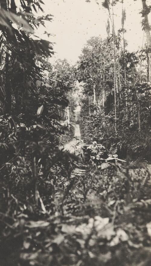 Bita Paka Road between Kabakaul and Bita Paka, showing the field of fire near a trench surrounded by dense jungle, Bita Paka region, German New Guinea, September, 1914