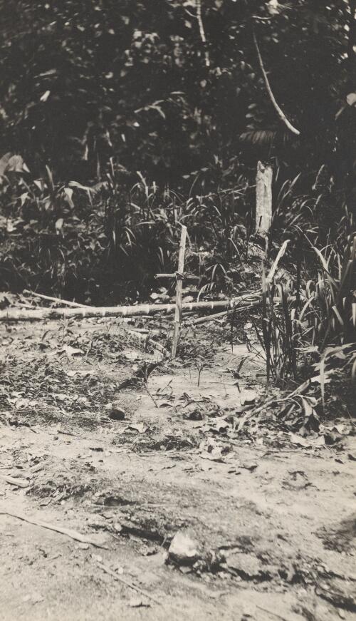 German grave, Bita Paka region, German New Guinea, 1914