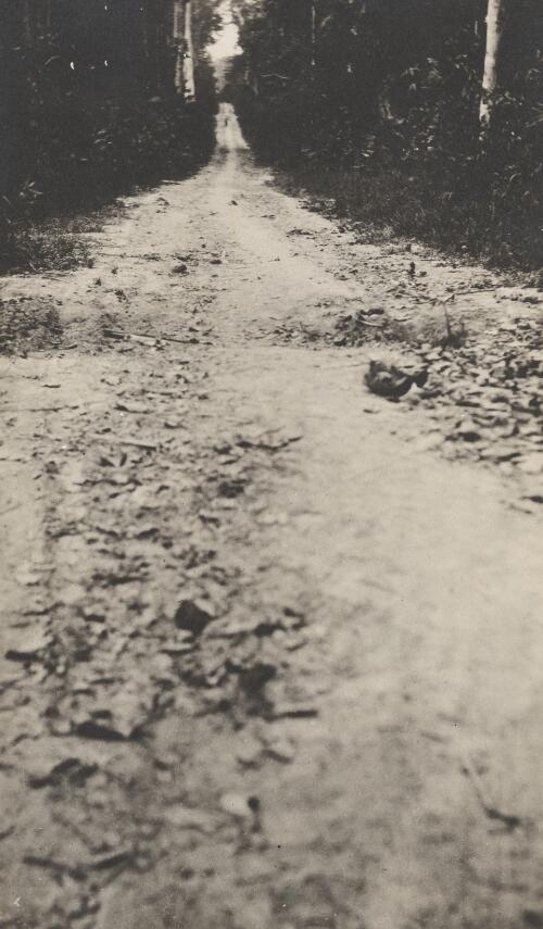 Road through the jungle between Kabakaul and Bita Paka, German New Guinea, 1914, 2