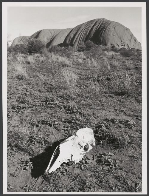 Uluru from the eastern end with camel's skull in the foreground, Northern Territory, 1973 [picture] / Australian Information Service