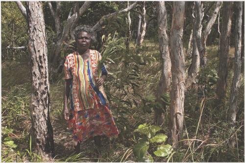 Dorothy collecting native grasses to make baskets, Lockhart River, Queensland, 2003 / Helga Leunig