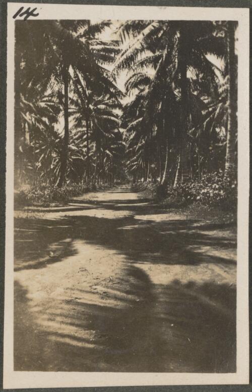 Road around Blanche Bay, Rabaul, New Britain Island, Papua New Guinea, approximately 1916