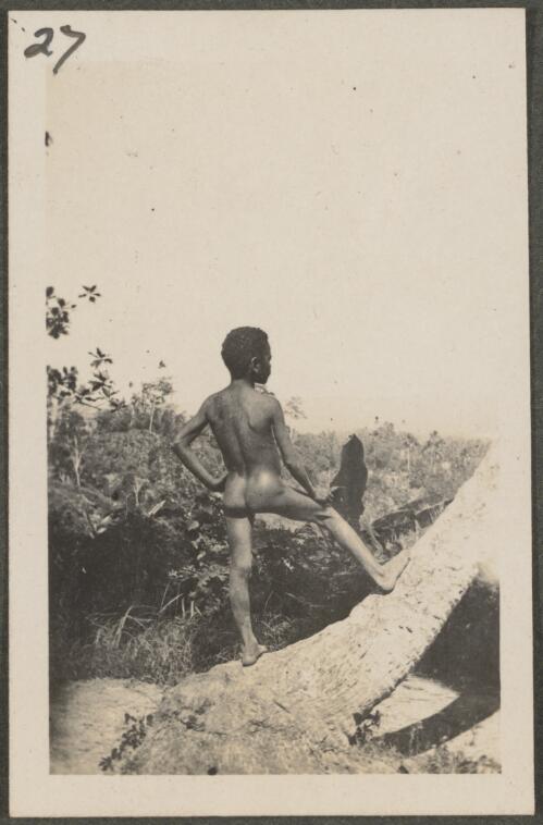 Man standing on a tree trunk, New Britain Island, Papua New Guinea, approximately 1916