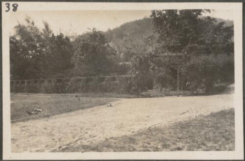 View of a road in the Botanical Gardens, Rabaul, New Britain Island, Papua New Guinea, approximately 1916