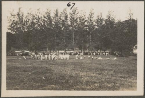Tug of war at the sports, Rabaul, New Britain Island, Papua New Guinea, approximately 1916