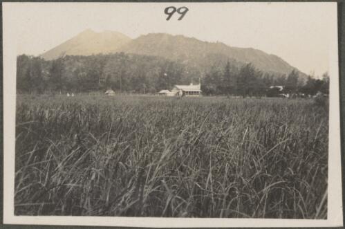 House on New Britain Island, Papua New Guinea, approximately 1916, 2
