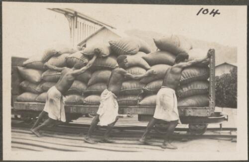 Bags of copra going to the ship, Rabaul, New Britain Island, Papua New Guinea, probably 1916