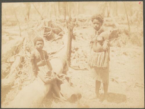 Two girls with skirts made of beaten bark, Manus Island, Papua New Guinea, probably 1916