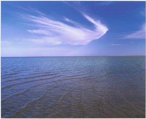 Lake Eyre South, South Australia, 1997, 1 / Trevern Dawes