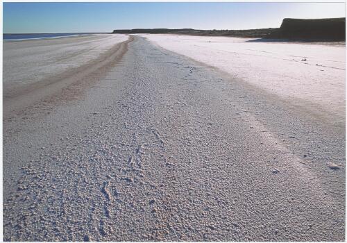 Salt beach at Lake Eyre South, South Australia, 1998 / Trevern Dawes