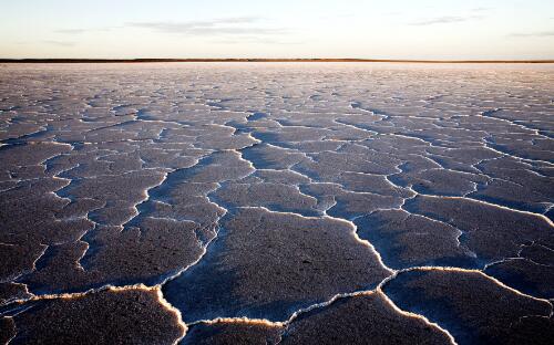 Mudflats at Lake Eyre South, South Australia, 2006 / Trevern Dawes