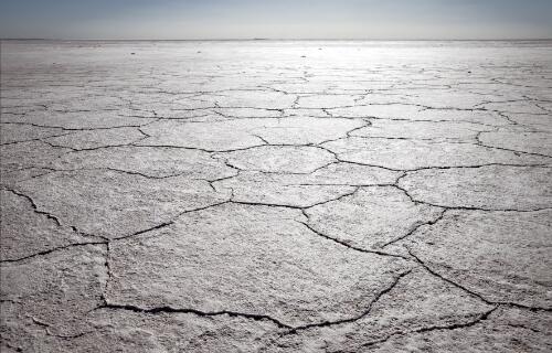 Salty mudflats at Lake Eyre South, from Oodnadatta Track, South Australia, 2009 / Trevern Dawes
