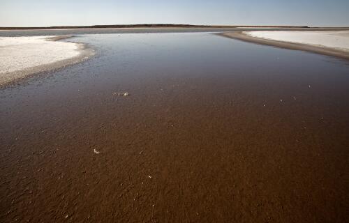 Water in Lake Eyre South, South Australia, 2011, 1 / Trevern Dawes