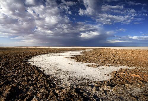 Muddy channel at Lake Eyre South, South Australia, 2008 / Trevern Dawes