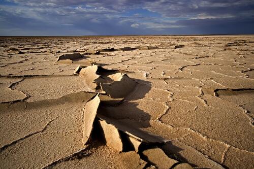 Dry and cracked mud flats at Lake Eyre South, South Australia, 2008 / Trevern Dawes