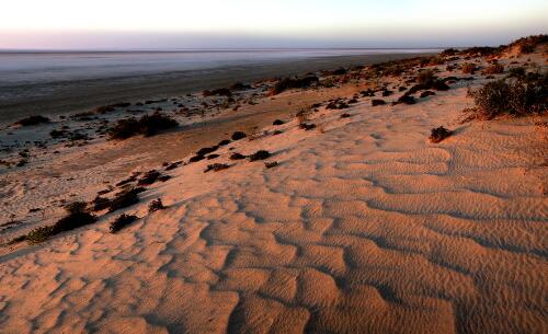 Sand dunes at Lake Eyre North, South Australia, 2009 / Trevern Dawes