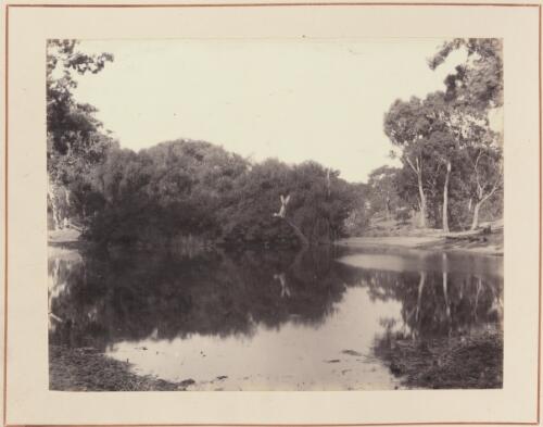 Bush scene with water, South Australia, approximately 1880 / Samuel Sweet