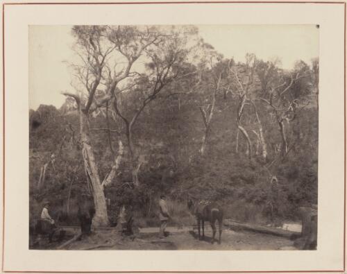 Boy on pony and a man with a horse, South Australia, approximately 1884 / Samuel Sweet