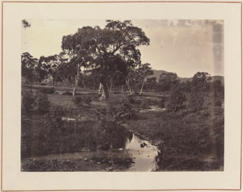 Bush scene with a creek, South Australia, approximately 1884 / Samuel Sweet