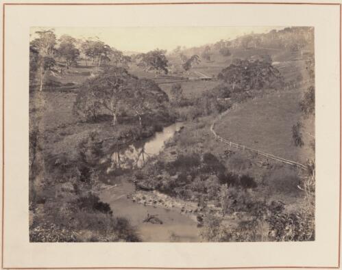 River valley, South Australia, approximately 1880 / Samuel Sweet