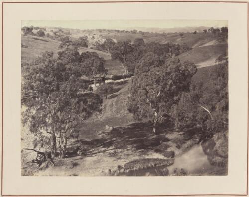 Adelaide Hills?, South Australia, approximately 1880 / Samuel Sweet