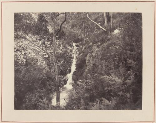 Waterfall Gully, South Australia, approximately 1872, 2 / Samuel Sweet