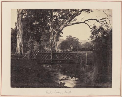 Rustic bridge at Magill, South Australia, approximately 1872 / Samuel Sweet