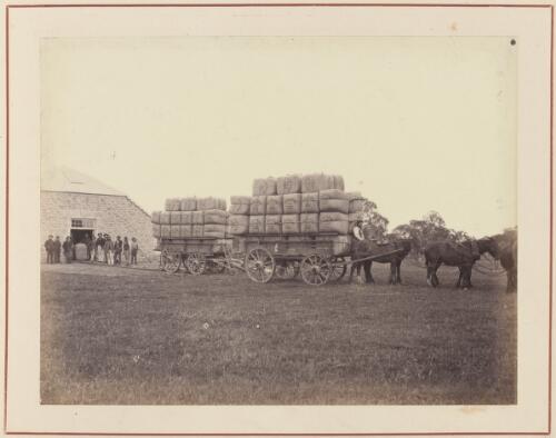 Horse drawn wagons loaded with bales of wool, Yallum Park, near Penola, South Australia, approximately 1870 / Samuel Sweet