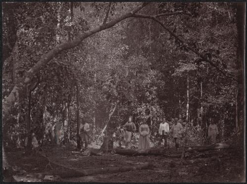 Two women and four men standing in a forest clearing, Port Darwin, Northern Territory, approximately 1870 / Samuel Sweet