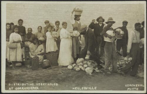 Distributing vegetables at Coranderrk, Healesville, Victoria, approximately 1910 / Kercheval Photo