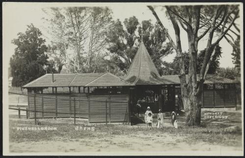 Muswellbrook baths, Muswellbrook, New South Wales, approximately 1950