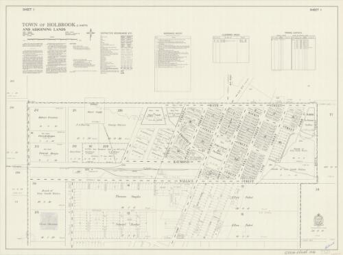 Town of Holbrook and adjoining lands [cartographic material] : Parish - Holbrook, County - Goulburn, Land District - Albury, Shire - Holbrook / printed & published by Dept. of Lands Sydney