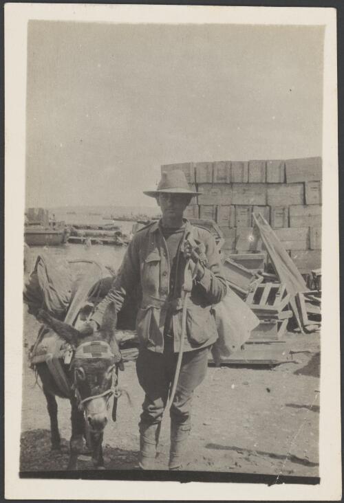 Private L. A. Johnson, of the 4th Field Ambulance, with one of the donkeys used by John Simpson Kirkpatrick, Gallipoli, Turkey, 1915