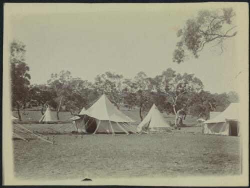 Tents at the Federal City Camp site, Canberra, 1909, 3