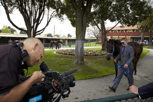 Camera man Owen Edwards filming track jockey Paddy Bell with Black Caviar at the Caulfield Cup, Caulfield Racecourse, Victoria 2011 / Tanja Milbourne