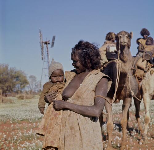 A Pitjantjatjara woman with her children and camels near Angas Downs, Northern Territory, approximately 1966 / Robin Smith