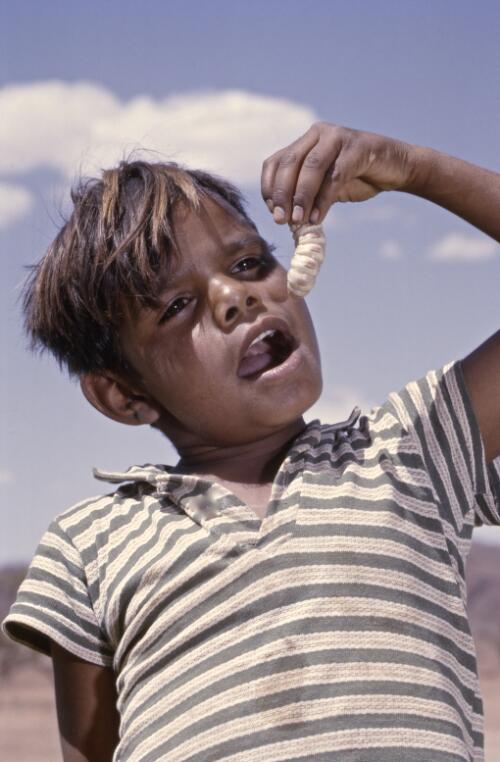 Aboriginal Australian boy eating a witchetty grub, approximately 1966 / Robin Smith
