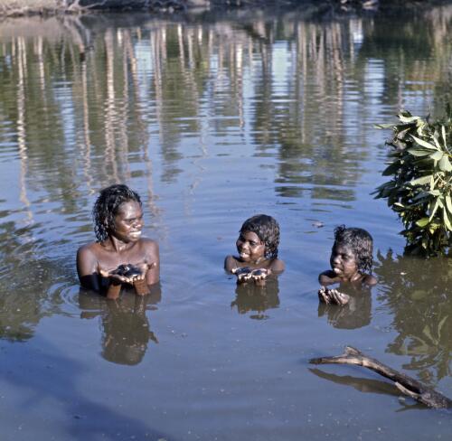 Aboriginal Australian mother Ruby with her daughters Yvonne and Nida fishing for mussels with their toes in a billabong, Arnhem Land, Northern Territory, 1967 / Robin Smith