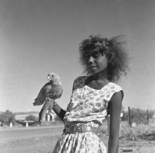 Aboriginal Australian girl with her pet galah, Roebourne, Western Australia, 1962 / Robin Smith
